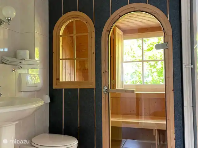 Badkamer boven met douche en sauna